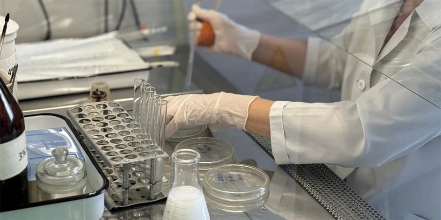 На саратовских рынках и ярмарках обнаружили 86 тонн сомнительного мяса На саратовских рынках и ярмарках обнаружили 86 тонн сомнительного мяса